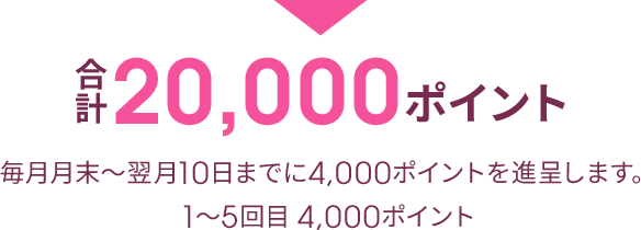 合計20,000ポイント 毎月月末〜翌月10日までに4,000ポイントを進呈します。1〜5回目 4,000ポイント